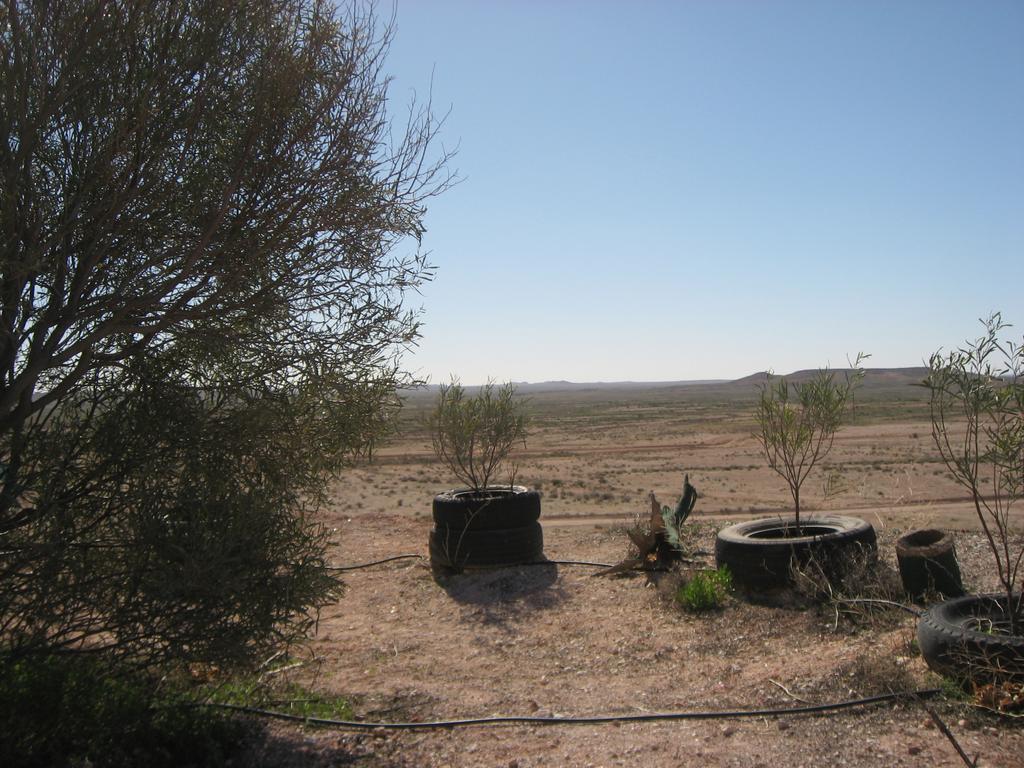 Venushill B+B Coober Pedy Bagian luar foto
